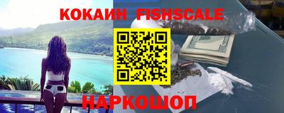 индика Гатчина