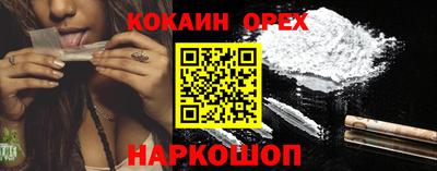 индика Гатчина