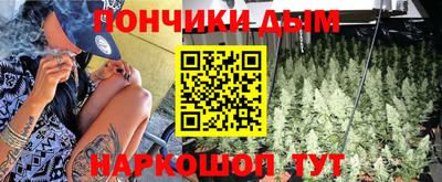 индика Гатчина