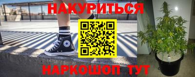 индика Гатчина