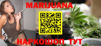 индика Гатчина