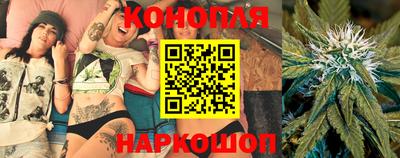 индика Гатчина
