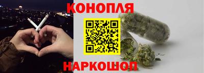 индика Гатчина