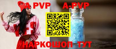 индика Гатчина