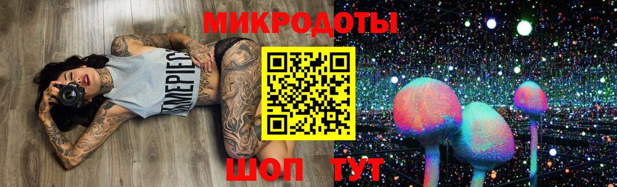 Сокол  Псилоцибиновые грибы мицелий  Вход с VPN 