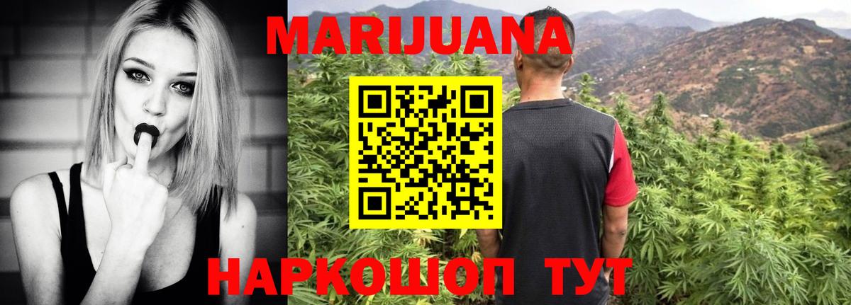 Каннабис планчик Сокол